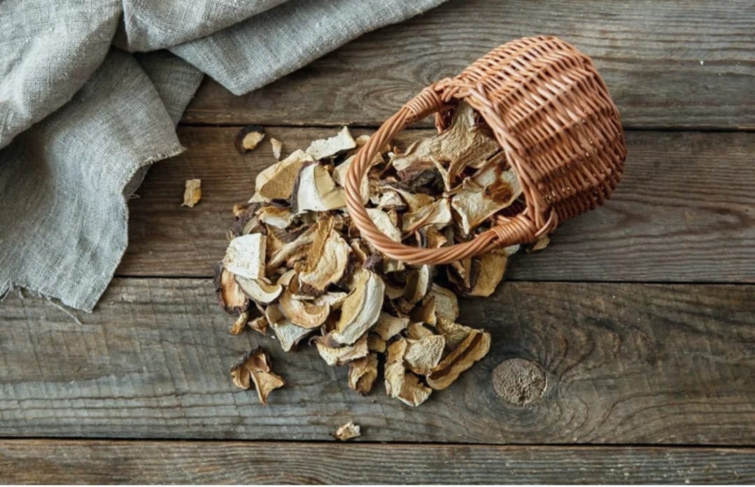 Грибы сушеные, ассорти,урожай этого года/Dry assorted mushrooms, Fall 2025, 100g